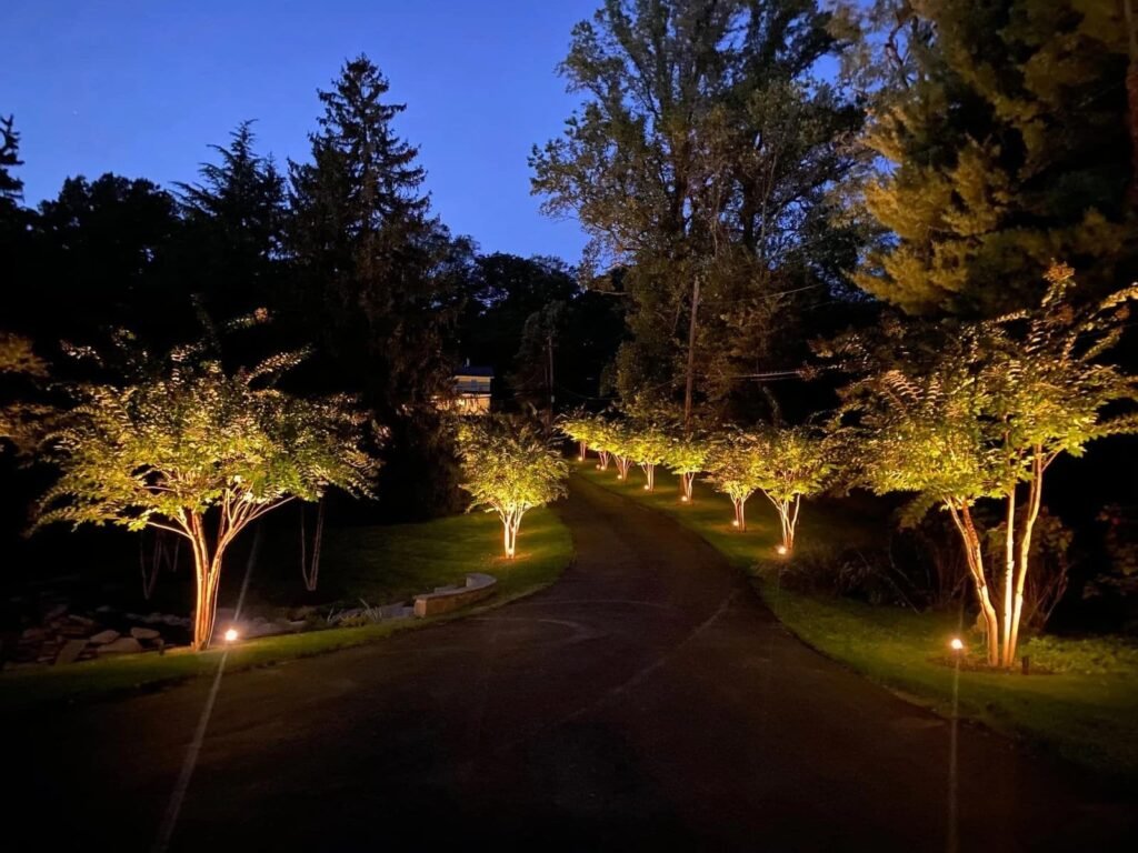 landscape-lighting-near-me-8