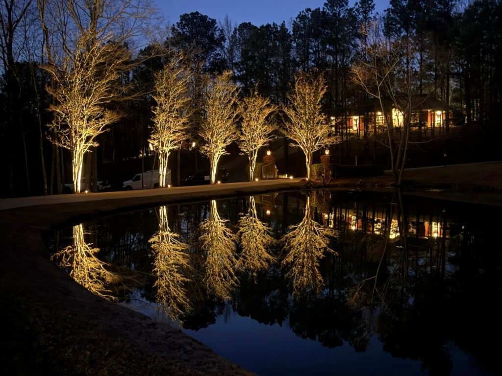 outdoor-lighting-near-me-5